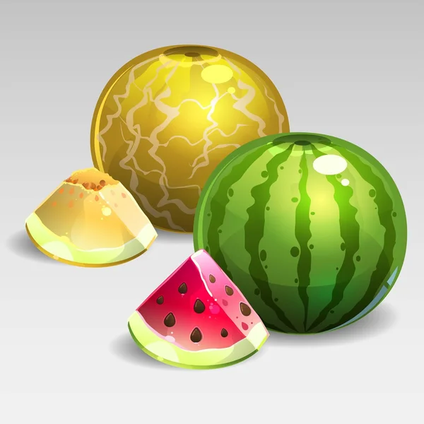 Pastèque et melon — Image vectorielle