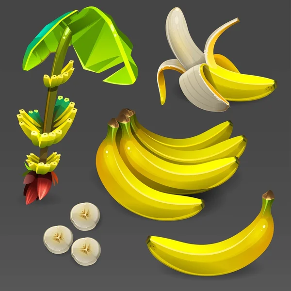 Banana set — Stock Vector