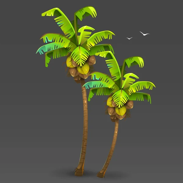 Kokospalmen — Stockvektor