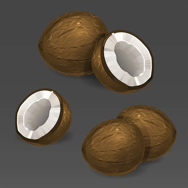 Kokosnüsse — Stockvektor