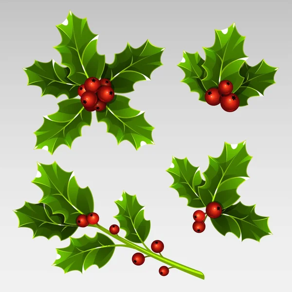 Christmas holly tree — Stock Vector