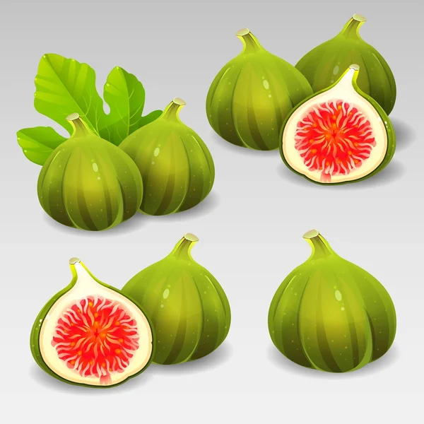 Green figs set — Stock Vector