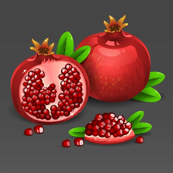 Juicy red pomegranate — Stock Vector