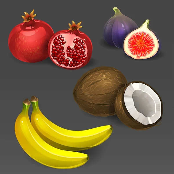Tropical fruits set — Stock Vector