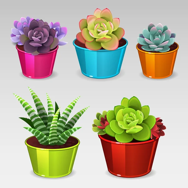 Cactus en macetas — Vector de stock