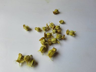 Beyaz arka planda izole edilmiş bektaşi üzümü veya Amla meyvesi dokusuyla Yığın ve Yığın 'a yakın çekim