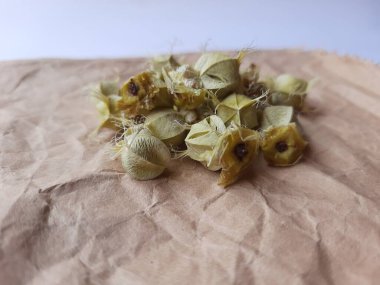 Beyaz arka planda izole edilmiş bektaşi üzümü veya Amla meyvesi dokusuyla Yığın ve Yığın 'a yakın çekim