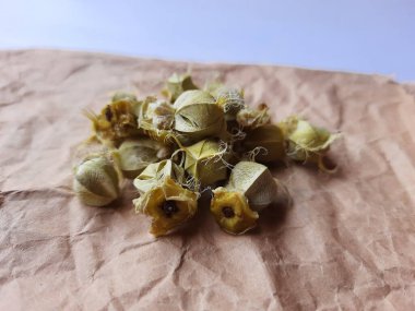 Beyaz arka planda izole edilmiş bektaşi üzümü veya Amla meyvesi dokusuyla Yığın ve Yığın 'a yakın çekim