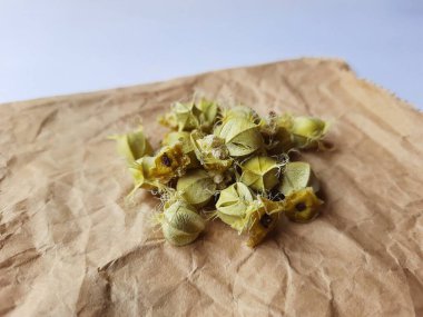 Beyaz arka planda izole edilmiş bektaşi üzümü veya Amla meyvesi dokusuyla Yığın ve Yığın 'a yakın çekim