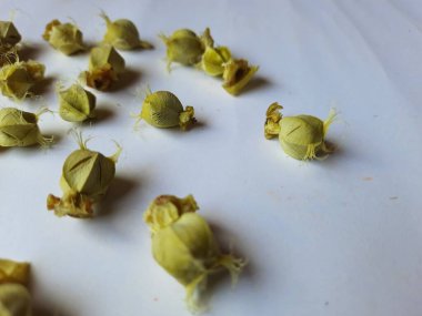 Beyaz arka planda izole edilmiş bektaşi üzümü veya Amla meyvesi dokusuyla Yığın ve Yığın 'a yakın çekim