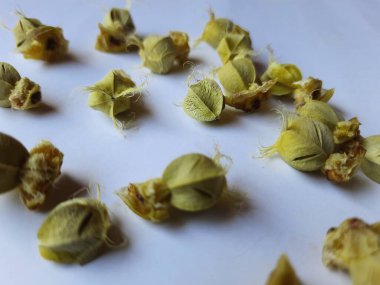 Beyaz arka planda izole edilmiş bektaşi üzümü veya Amla meyvesi dokusuyla Yığın ve Yığın 'a yakın çekim