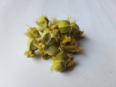 Beyaz arka planda izole edilmiş bektaşi üzümü veya Amla meyvesi dokusuyla Yığın ve Yığın 'a yakın çekim