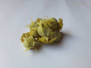 Beyaz arka planda izole edilmiş bektaşi üzümü veya Amla meyvesi dokusuyla Yığın ve Yığın 'a yakın çekim