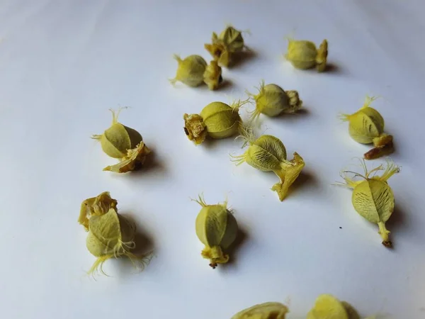 Fechar Pilha Montão Com Textura Uma Groselha Espinhosa Sementes Fruto — Fotografia de Stock