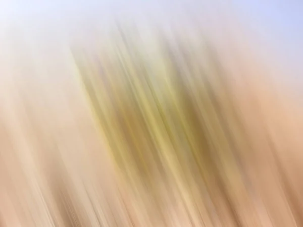 Closeup Brown Cor Amarela Superfície Motion Blur Fundo Branco — Fotografia de Stock