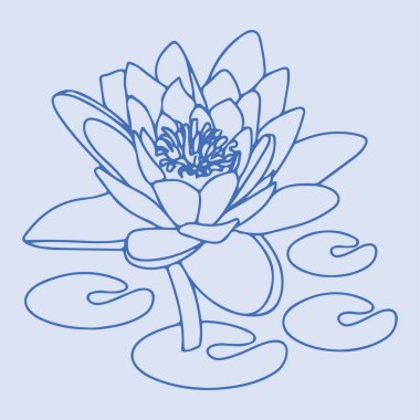 Çizim ya da çizim Hint Lotus Çiçeği ve Desen Düzenlenebilir Çizim Özgeçmişi