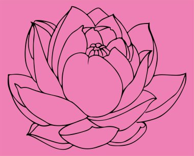 Çizim ya da çizim Hint Lotus Çiçeği ve Desen Düzenlenebilir Çizim Özgeçmişi