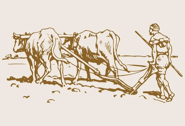 Рисунок Эскиз Выполнения Различных Видов Работ Бывшим Работником Сельскохозяйственного Поля — стоковый вектор