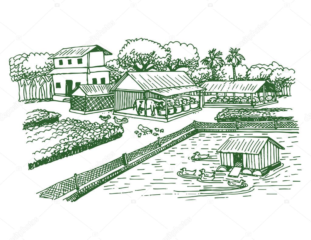 Drawing or Sketch of doing different types of work by Former in a agricultural field, home and etc., editable outline illustration