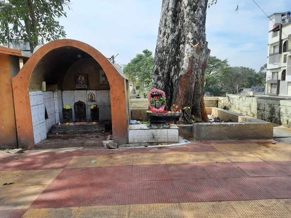 Bangalore Karnataka India Jan 2021 Close Van Snake Standbeeld Steen — Stockfoto