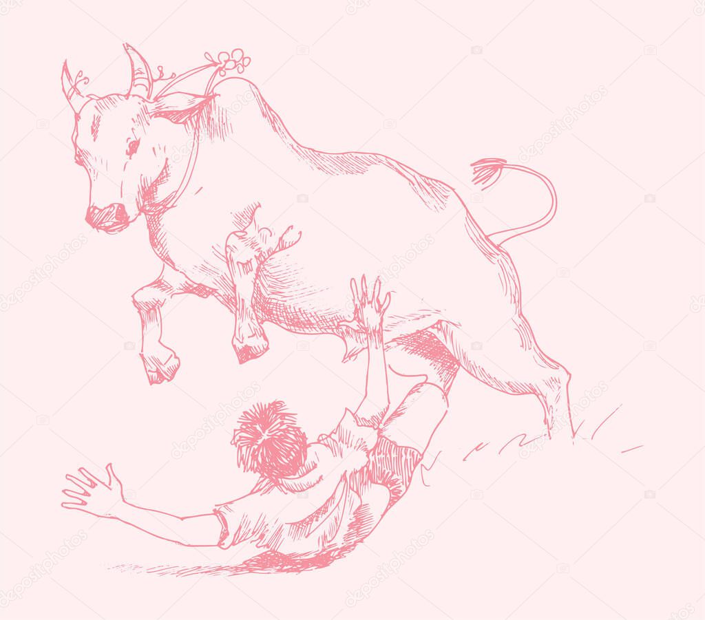 Drawing or Sketch of Outline Editable Illustration of a Indian Traditional Harvest Festival Makara Sankranti or Pongal Celebration with making sweets and play with Cow as a Jallikattu in a Villages.