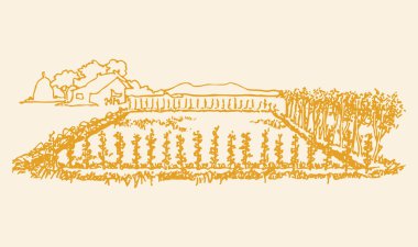 Tarımsal alanda, köyde ya da kırsal çevrede bir inekle çalışan çiftçinin çizimi ya da çizimi düzenlenebilir illüstrasyon çizimi