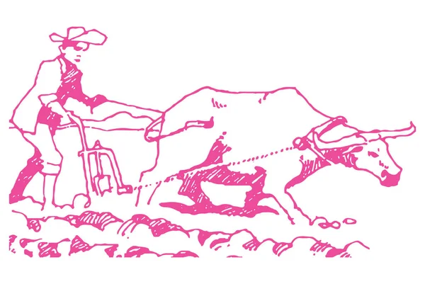 Menggambar Atau Sketch Farmer Bekerja Sama Dengan Sapi Ladang Pertanian - Stok Vektor