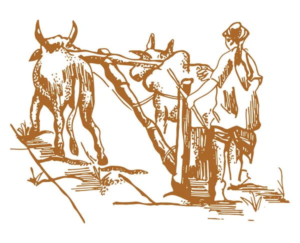 Dibujo Boceto Del Agricultor Que Trabaja Con Una Vaca Campo — Vector de stock