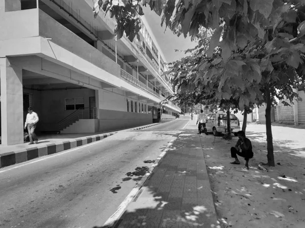 Bangalore Karnataka Indien Jan 2021 Närbild Vacker Utsikt Över Green — Stockfoto