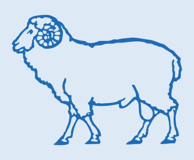 Hint Büyük Boynuzu Koyunu ya da Keçi Çizimi Düzenlenebilir Çizim