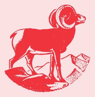 Hint Büyük Boynuzu Koyunu ya da Keçi Çizimi Düzenlenebilir Çizim