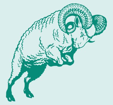 Hint Büyük Boynuzu Koyunu ya da Keçi Çizimi Düzenlenebilir Çizim