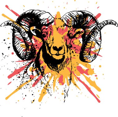 Hint Büyük Boynuzu Koyunu ya da Keçi Çizimi Düzenlenebilir Çizim