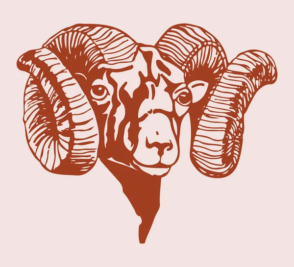 Dibujo Boceto India Big Horn Sheep Goat Outline Editable Illustration — Vector de stock