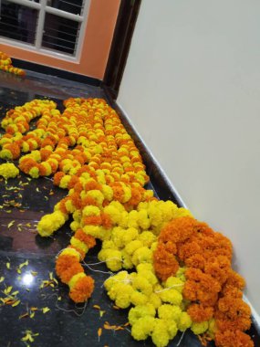 Bahçedeki güzel Turuncu Marigold çiçeği, Tagetes erekta, Meksika, Aztek ya da Afrika kadife çiçeklerine yakın çekim