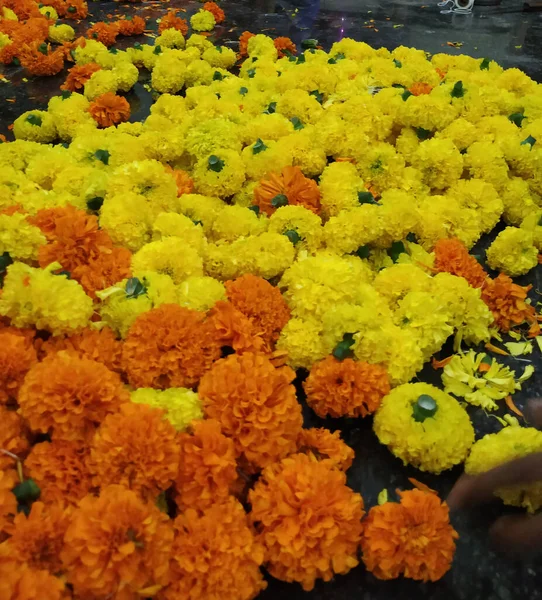 Primer Plano Hermosa Flor Caléndula Color Naranja Tagetes Erecta Mejicana — Foto de Stock