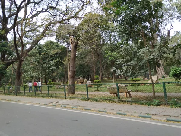 Бангалор Карнатака Індія 2021 Закриття Красивих Асфальтних Доріг Парку Кубон — стокове фото