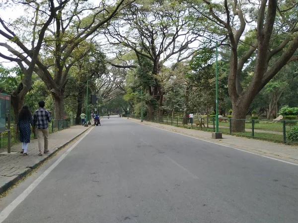 Bangalore Karnataka India Jan 2021 Close Van Prachtige Cubbon Park — Stockfoto