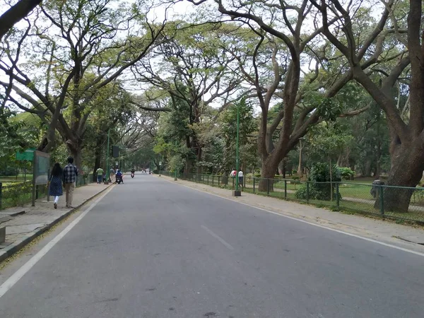 Bangalore Karnataka India Jan 2021 Close Beautiful Cubbon Park Asphalt — стоковое фото