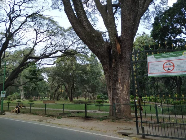 Bangalore Karnataka India Jan 2021 Κλείσιμο Όμορφων Ασφαλτοστρωμένων Δρόμων Cubbon — Φωτογραφία Αρχείου