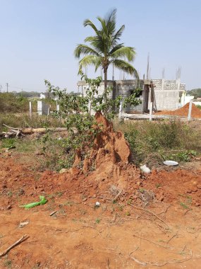 Güzel kırmızı renkli kum karınca yuvası boş bir alanda ya da doğanın arka planına sahip bir yerde.