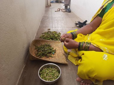 Bangalore, Karnataka, Hindistan-Aralık 02-2020: Geleneksel Hint elbise sarisinin yakın çekimi, Togari Kayi 'nin derisini yüzen kadınlar veya evin dışında yeşil güvercin bezelyeleri giyiyor