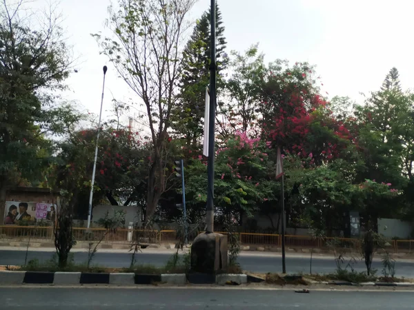Bangalore Karnataka Indien Apr 2021 Nahaufnahme Einer Schönen Asphaltstraße Zwischen — Stockfoto