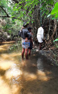Bangalore, Karnataka, Hindistan-27 Nisan 2021: Suların içinde duran orman gölünde bambu ağacını kesen bir grup adam.