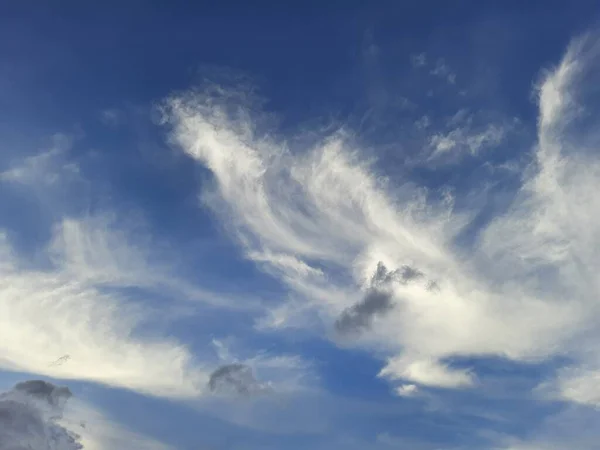 インド カルナータカ州バンガロールの青い背景の雲と美しい天の空の閉鎖 — ストック写真