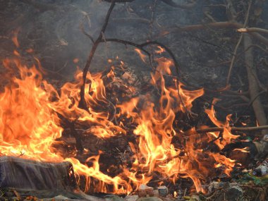 Çok güzel, için için için için için için yanan odun odunlarının yakın çekimi. Atmosferik sıcak arka plan, turuncu kamp ateşi ve gri kül. Şenlik ateşinin mükemmel tam kare görüntüsü.