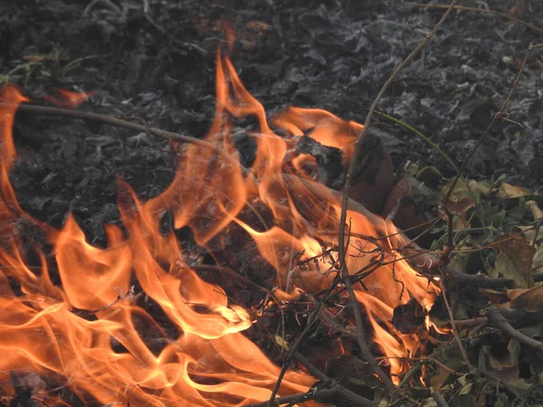 Close Van Mooie Levendige Smeulende Brandhout Verbrand Het Vuur Sfeervolle — Stockfoto