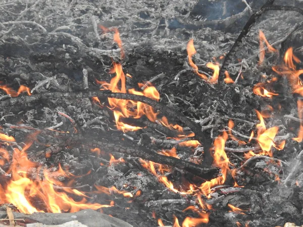 Fechar Belas Madeiras Fogo Queimadas Vívidas Queimadas Fogo Fundo Quente — Fotografia de Stock