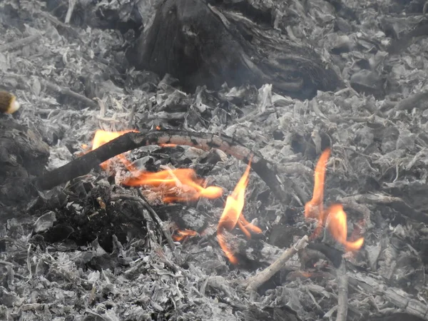 Fechar Belas Madeiras Fogo Queimadas Vívidas Queimadas Fogo Fundo Quente — Fotografia de Stock