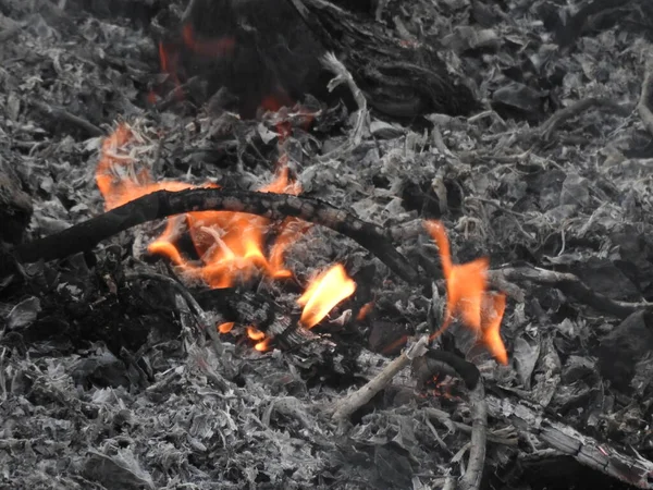 Nahaufnahme Wunderschöner Lebendig Glimmender Feuerhölzer Die Flammen Aufgingen Atmosphärisch Warmer — Stockfoto